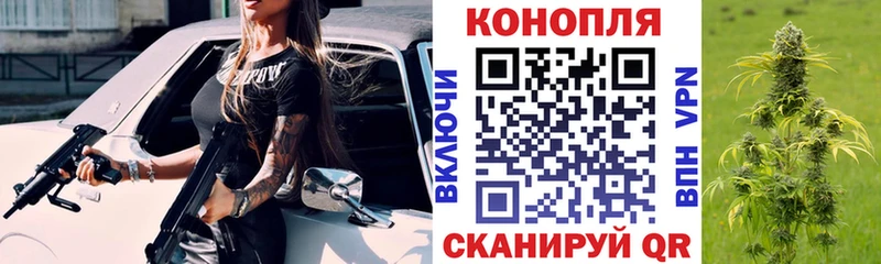ГАШ Мурино