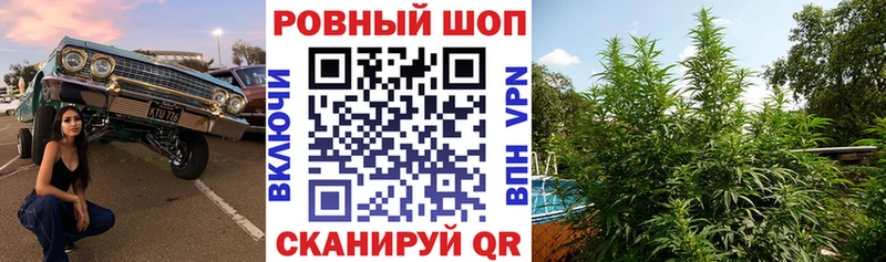 Сколько стоит Мурино кракен онион  Бошки Шишки  Мефедрон  ГАШ 