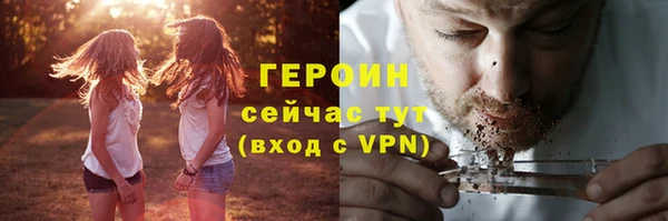 дмт Ельня