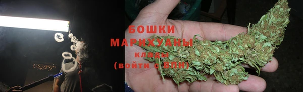 дмт Ельня