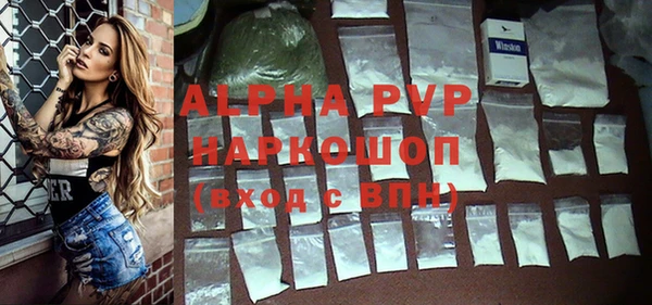 дмт Ельня