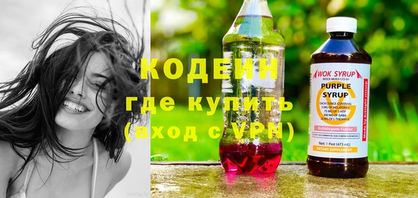 дмт Ельня