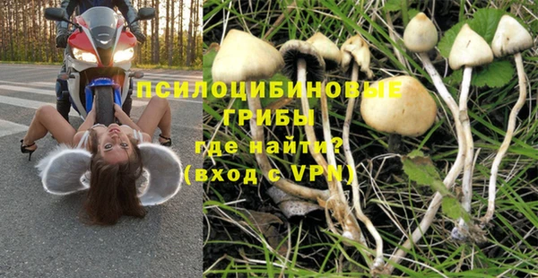 трава Александровское