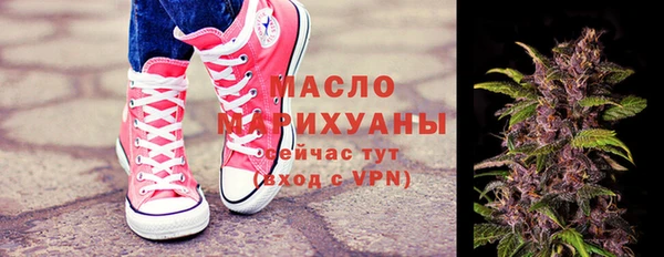 дмт Ельня