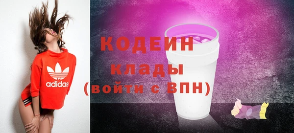 дмт Ельня