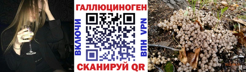 наркошоп  Мурино  гидра ONION  Галлюциногенные грибы GOLDEN TEACHER 