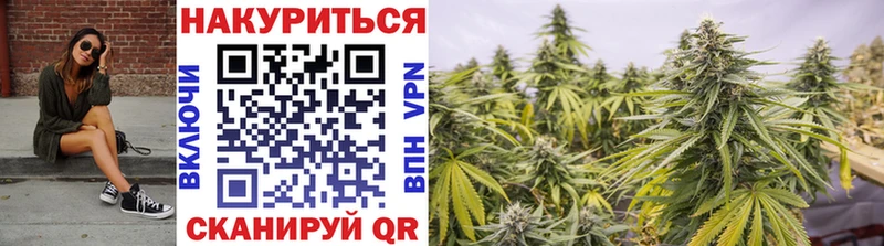 Шишки марихуана план  MEGA вход  Мурино  продажа наркотиков 